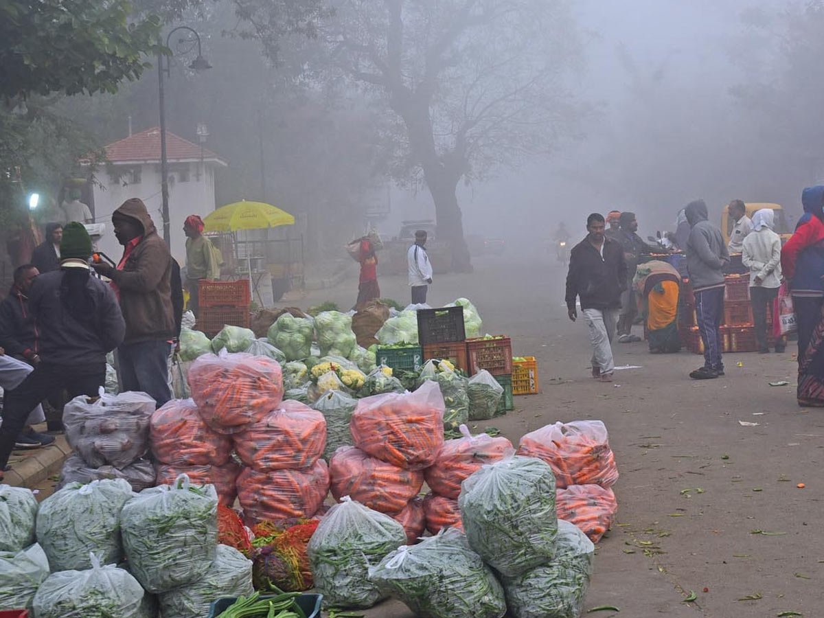 Best Photos of The Week in AP and Telangana Photo Gallery49