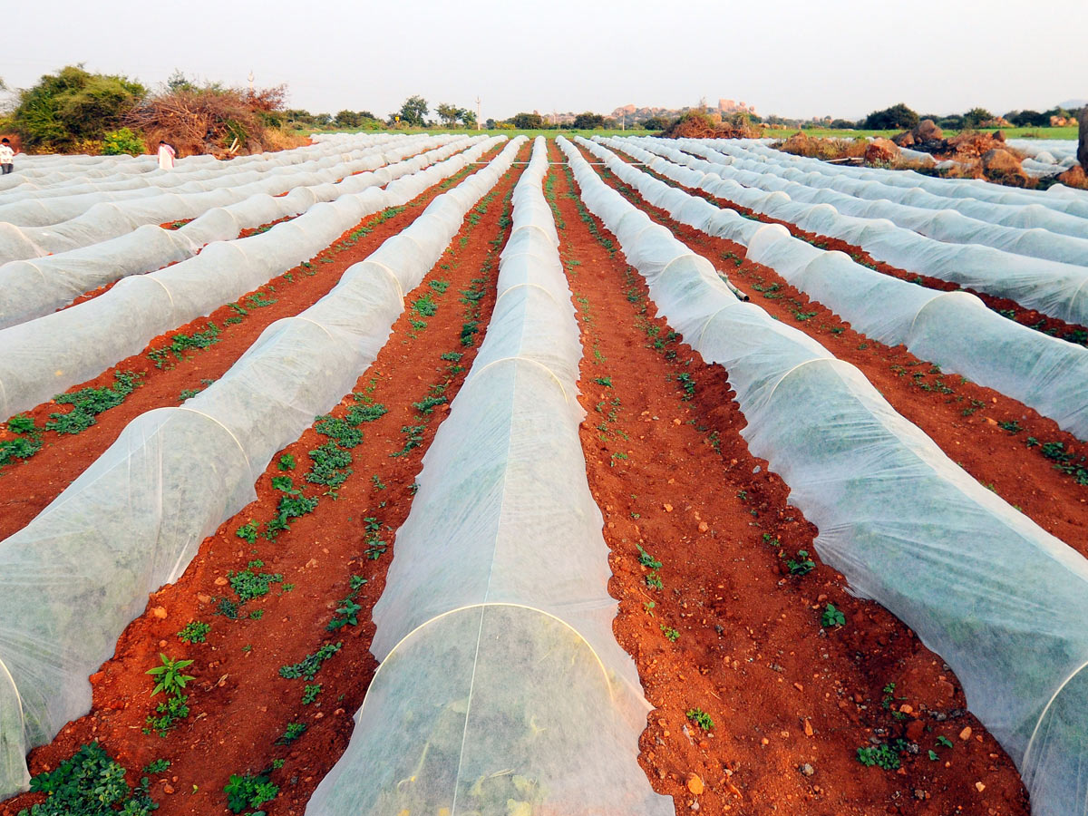 Best Photos of The Week in AP and Telangana Photo Gallery6