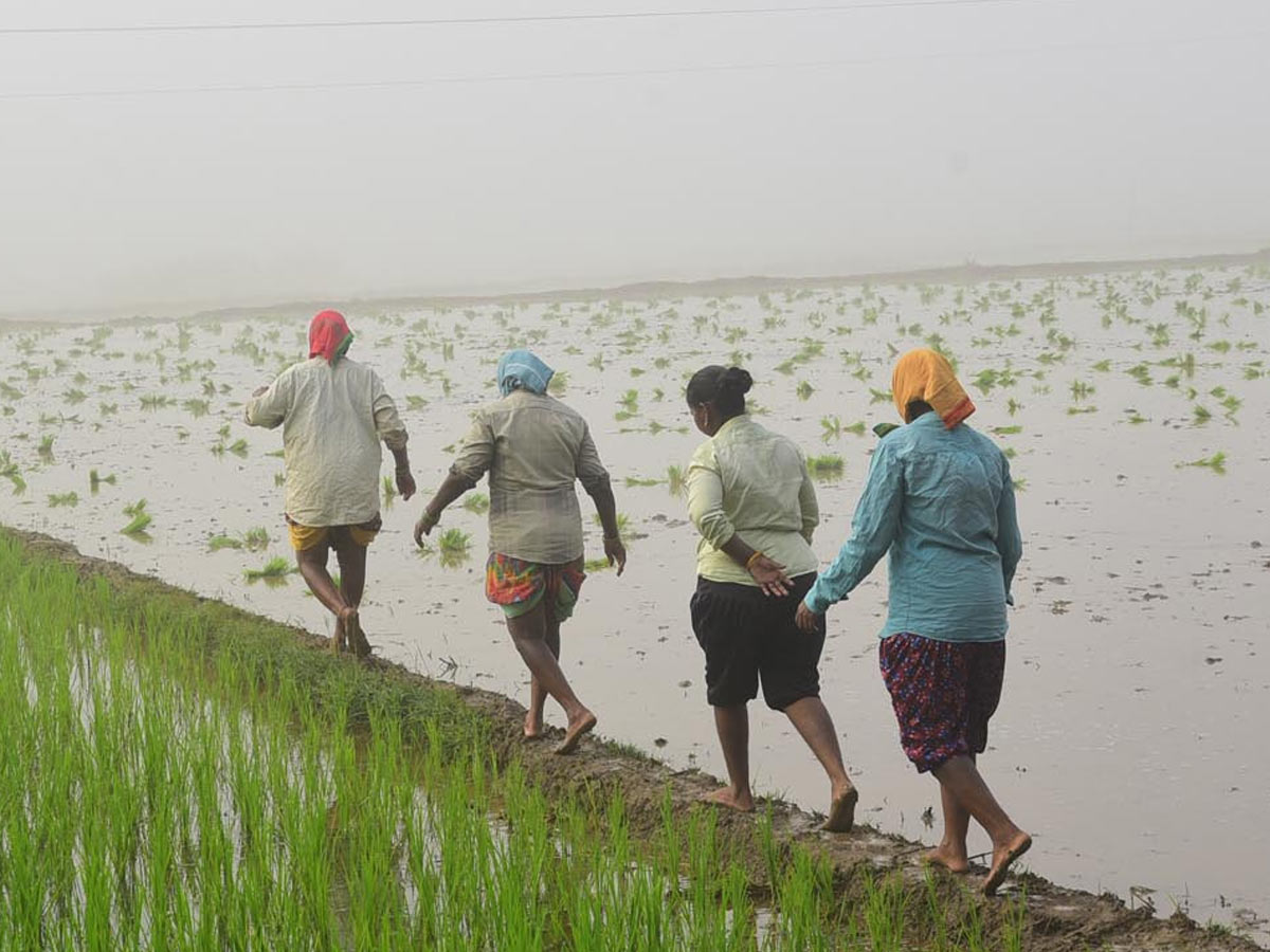 Best Photos of The Week in AP and Telangana Photo Gallery50
