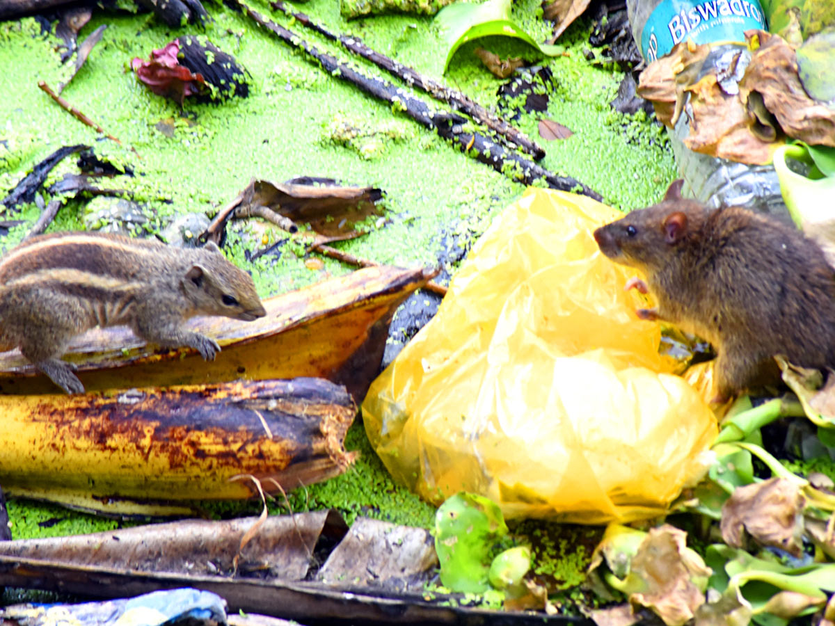 Best Photos of The Week in AP and Telangana Photo Gallery57