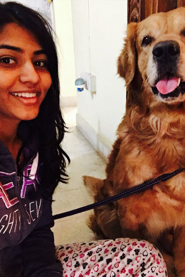 Kantara Beauty Sapthami Gowda Ten-year film Journey special photos5