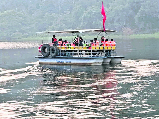 పెద్దమ్మతల్లికి విశేషపూజలు2