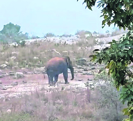 ఏఆర్‌ డీఎస్పీగా ఏడుకొండలు 2