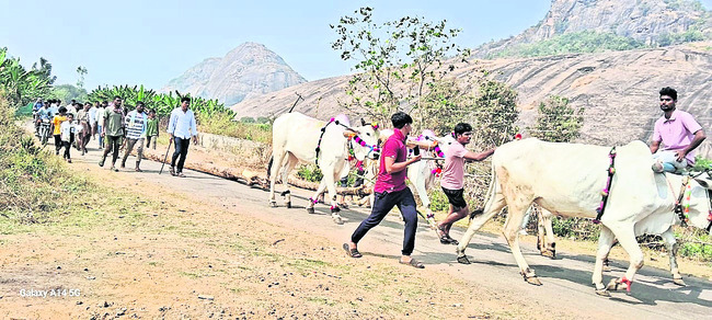 సర్వం సిద్ధం 1