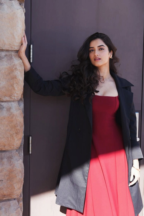 Actress Bhagyashri Borse Latest Stunning Photos10