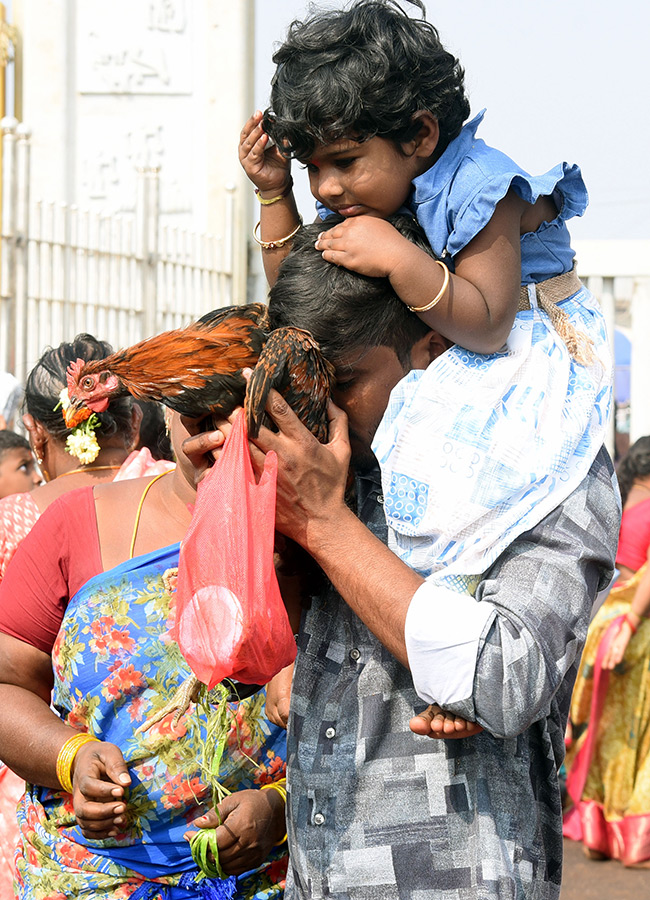Huge Devotee Rush At Medaram Jatara 202613