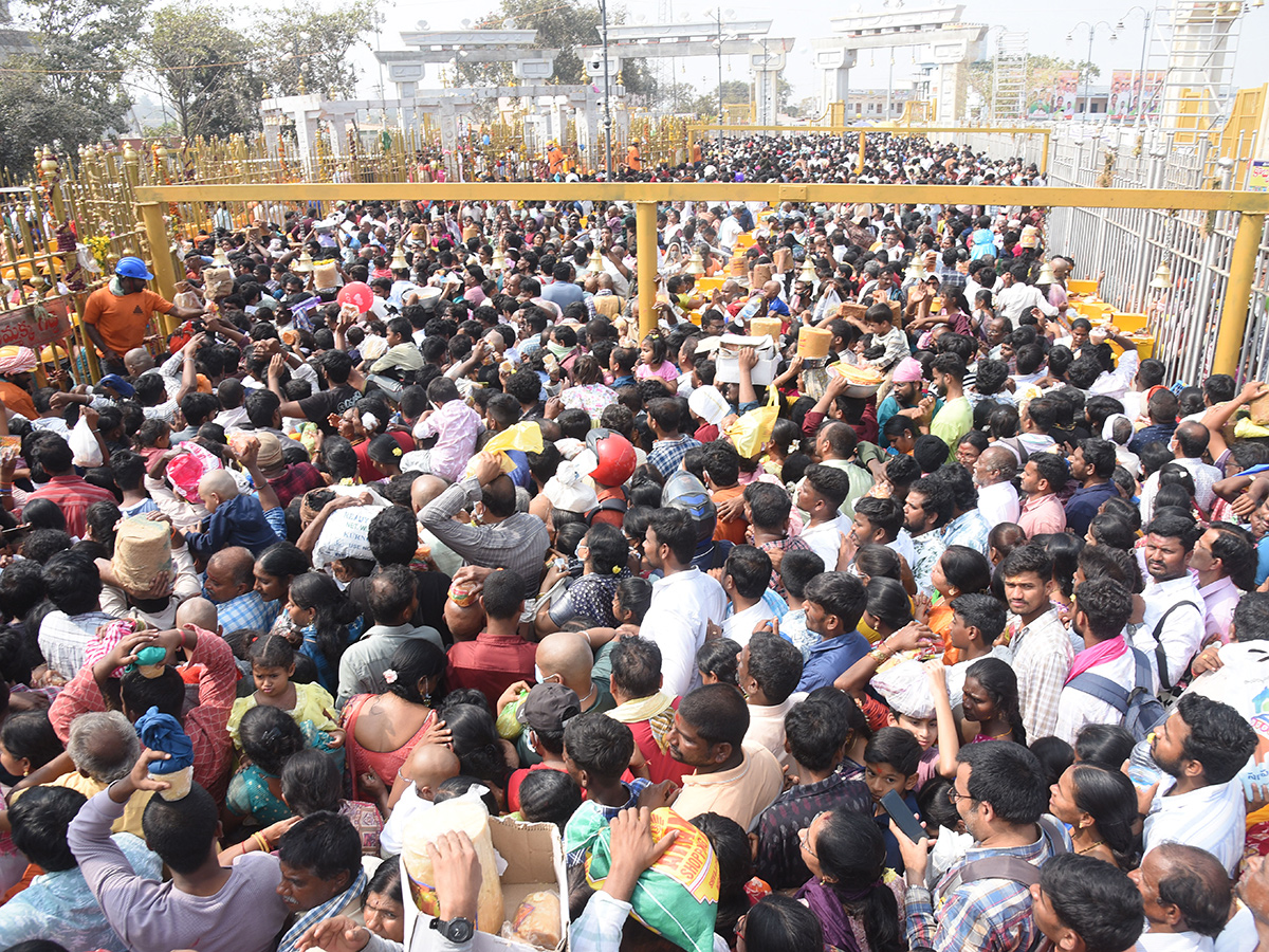 Huge Devotee Rush At Medaram Jatara 202620