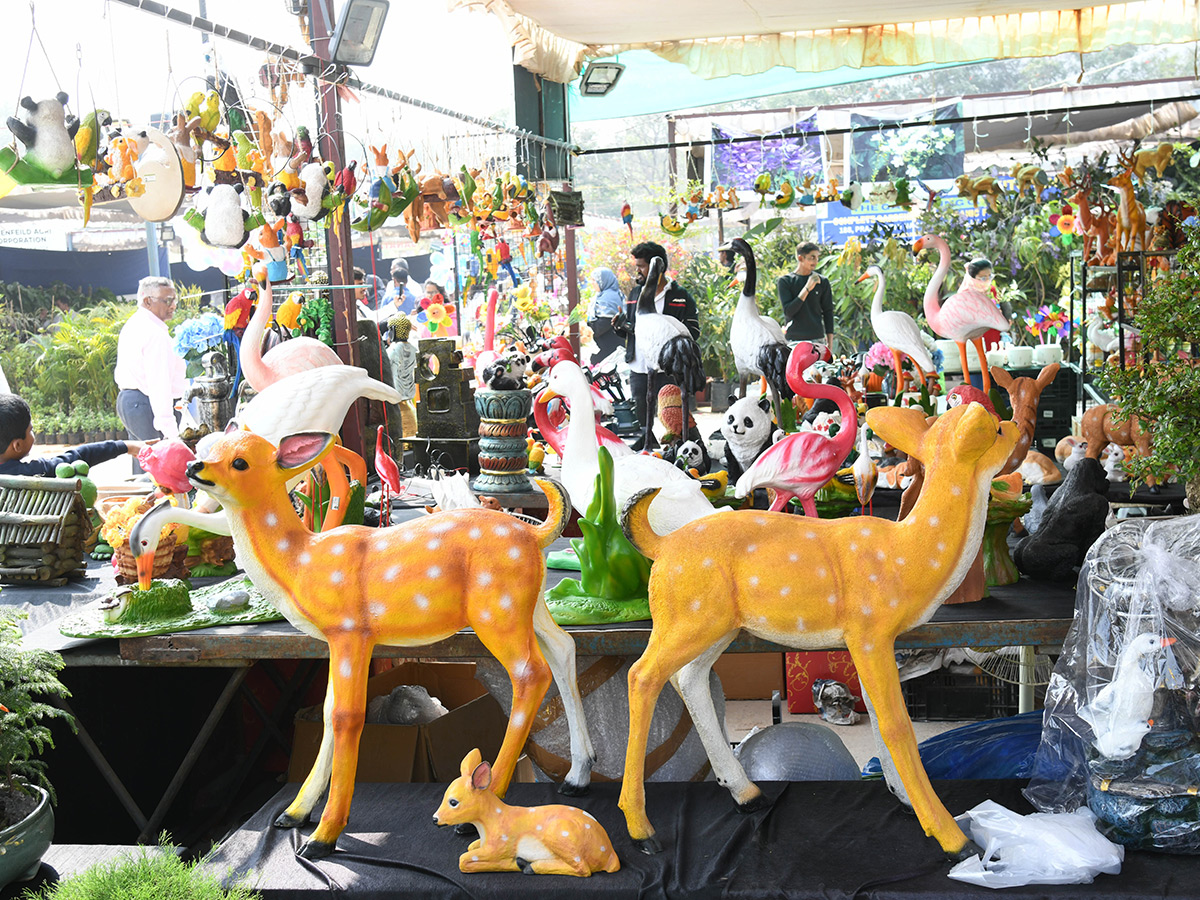 Nursery Mela At Hyderabad IMAX Grounds Showcases Wide 10