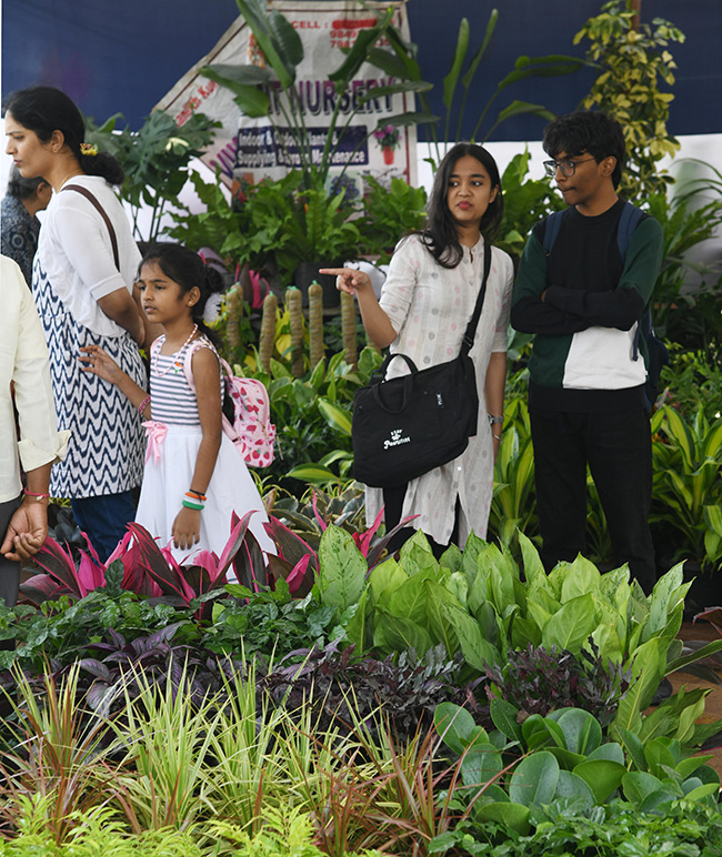 Nursery Mela At Hyderabad IMAX Grounds Showcases Wide 3