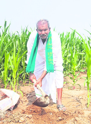 ఏడు పదుల్లో ఎంచక్కా ఎవుసం1