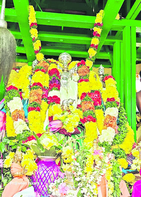 శోభాయమానం.. శోభనాచలుని రథోత్సవం 1