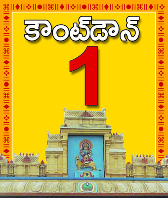 మహాజాతరకు ముస్తాబు1