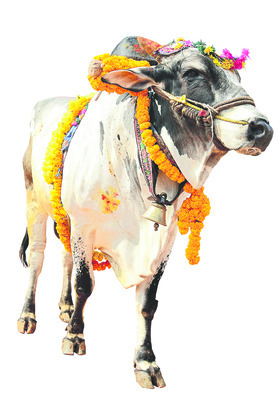 మంగళవారం శ్రీ 27 శ్రీ జనవరి శ్రీ 20264