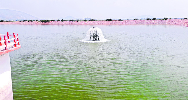 శతాబ్దాల నాటి చెరువు కావాలి ఆదరువు.. 1