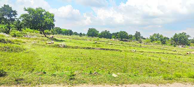 ఆయకట్టు హుష్‌ కాకి1