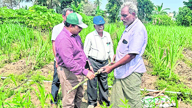 సైన్స్‌ సెంటర్‌లో  బయోమిమిక్రీ గ్యాలరీ 3