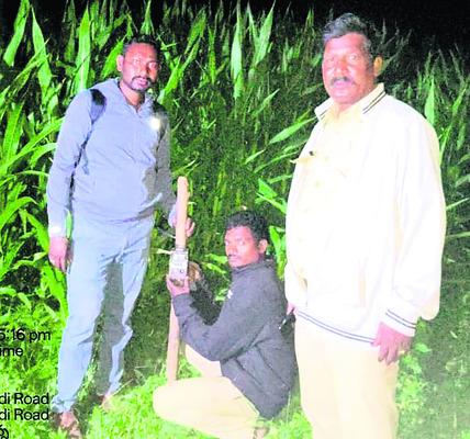 ఏజెన్సీలో పులి పంజా 2