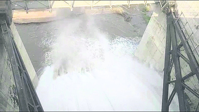 ప్రతిభచూపిన ఎడ్లబండి 
1