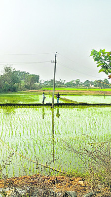 సమస్యలకు వాట్సప్‌తో పరిష్కారం1