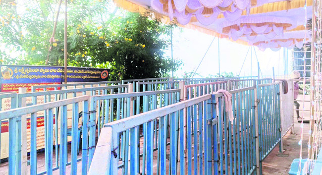 నారసింహుని కల్యాణోత్సవాలకు వేళాయె1