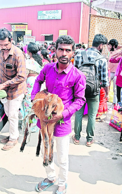 మేడారానికి పోటెత్తారు..1