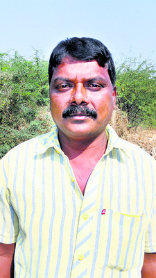           దిగుబడి తగ్గే అవకాశం
1