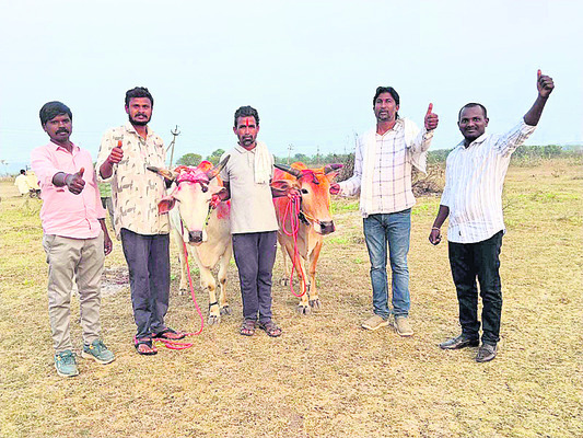 ప్రతిభచూపిన ఎడ్లబండి 
2
