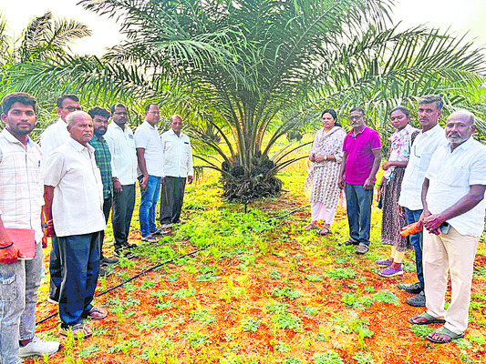 రక్షణ చట్టం తేవాల్సిందే 1