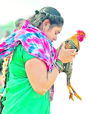 ఫలించిన అధికారుల కృషి 2