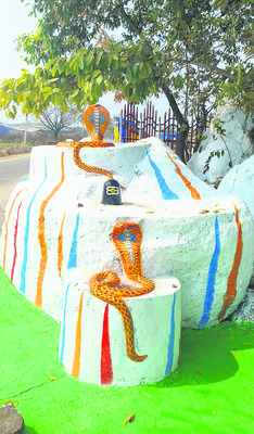 ముస్తాబైన  సమ్మక్క–సారలమ్మ1