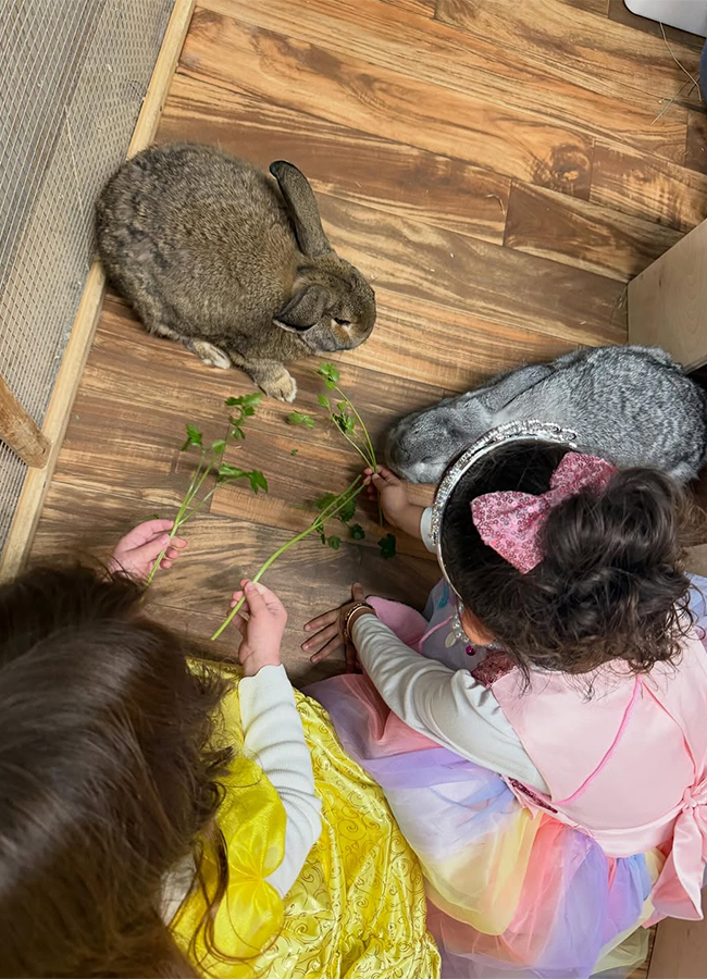 Bollywood Actress Priyanka Chopra January Vibes8