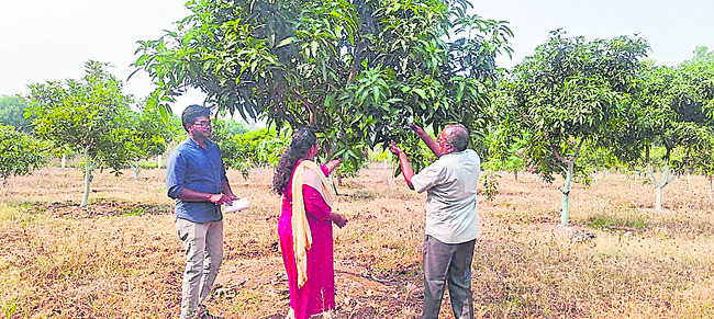 మంచుతో మామిఢీ 1