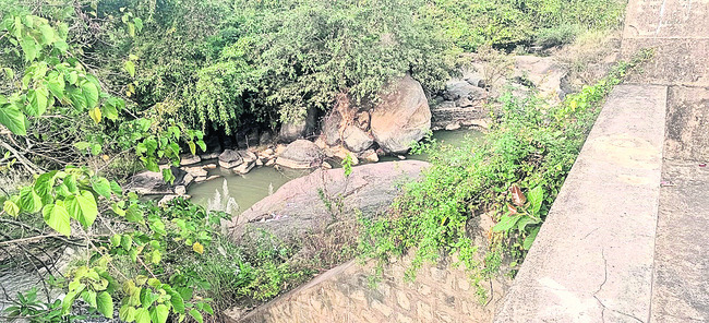 ఓరిని.. డ్యామ్‌లనూ వదలరా..! 1