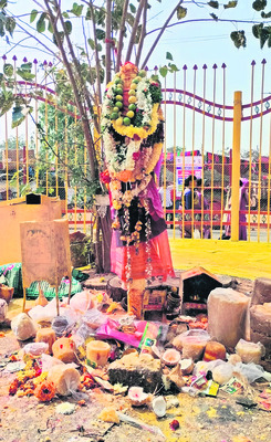 గద్దె పైకి సారలమ్మ2