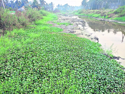 అధ్వానంగా డ్రెయిన్లు 2