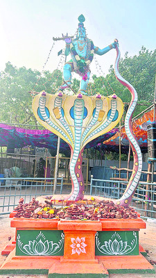 శ్వేతగిరి.. 4