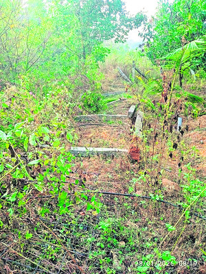 ముత్తువాళ్లూరును వణికిస్తున్న ఏనుగులు 1