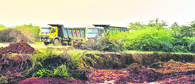 వల్లూరు చెరువులో పచ్చదొంగలు 1