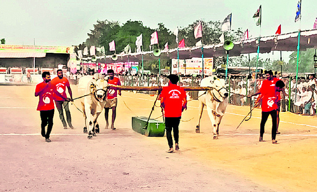 హోరాహోరీగా ఎడ్ల బలప్రదర్శన పోటీలు 1