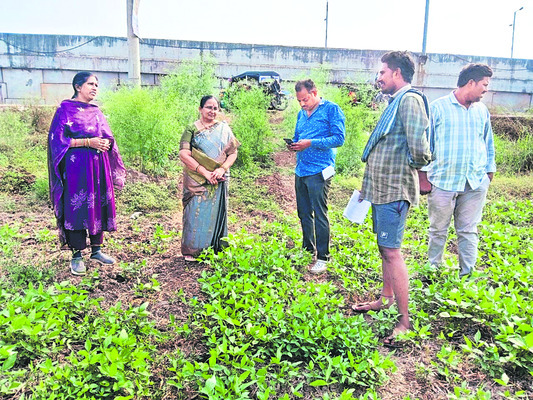 తిరుమలలో దుర్గగుడి   అధికారుల పర్యటన 
1