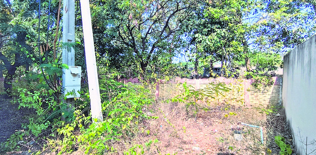 అగ్రి ల్యాబ్‌ను పునఃప్రారంభిస్తాం 3