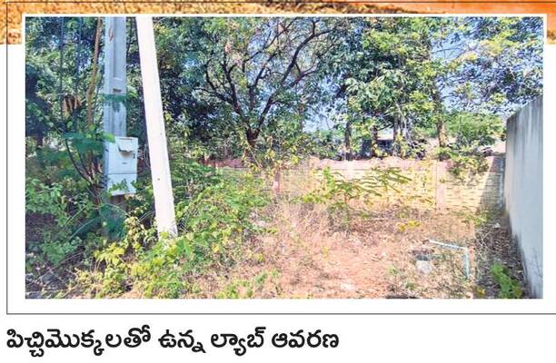 అగ్రి ల్యాబ్‌ను పునఃప్రారంభిస్తాం 2