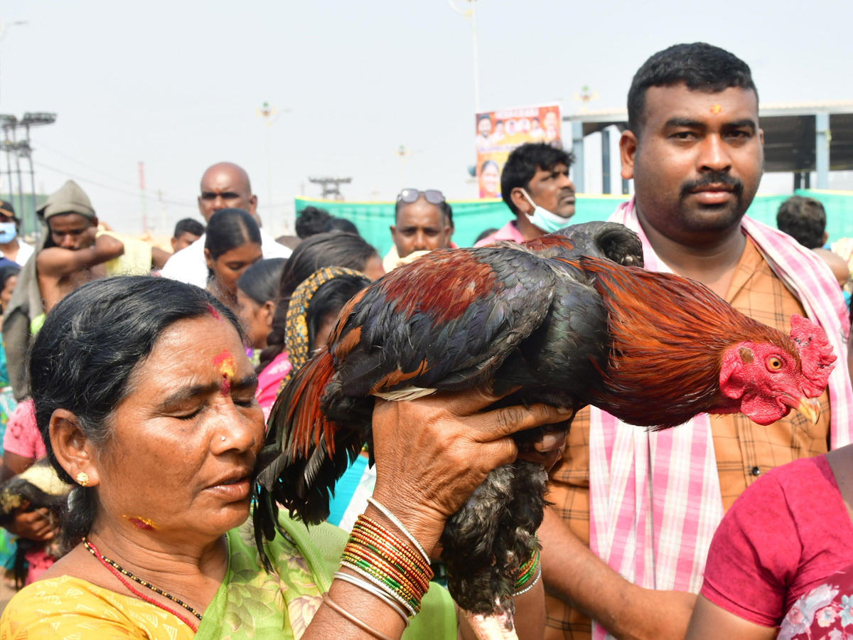 Medaram Samakka Saralamma Jatara 2026 Photos32