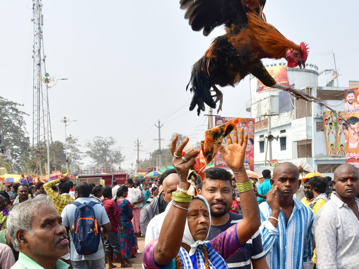 Medaram Samakka Saralamma Jatara 2026 Photos33