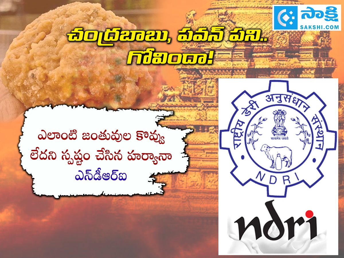 SIT Released Report On Tirupati Laddu Proving Chandrababu, Pawan Political Drama9