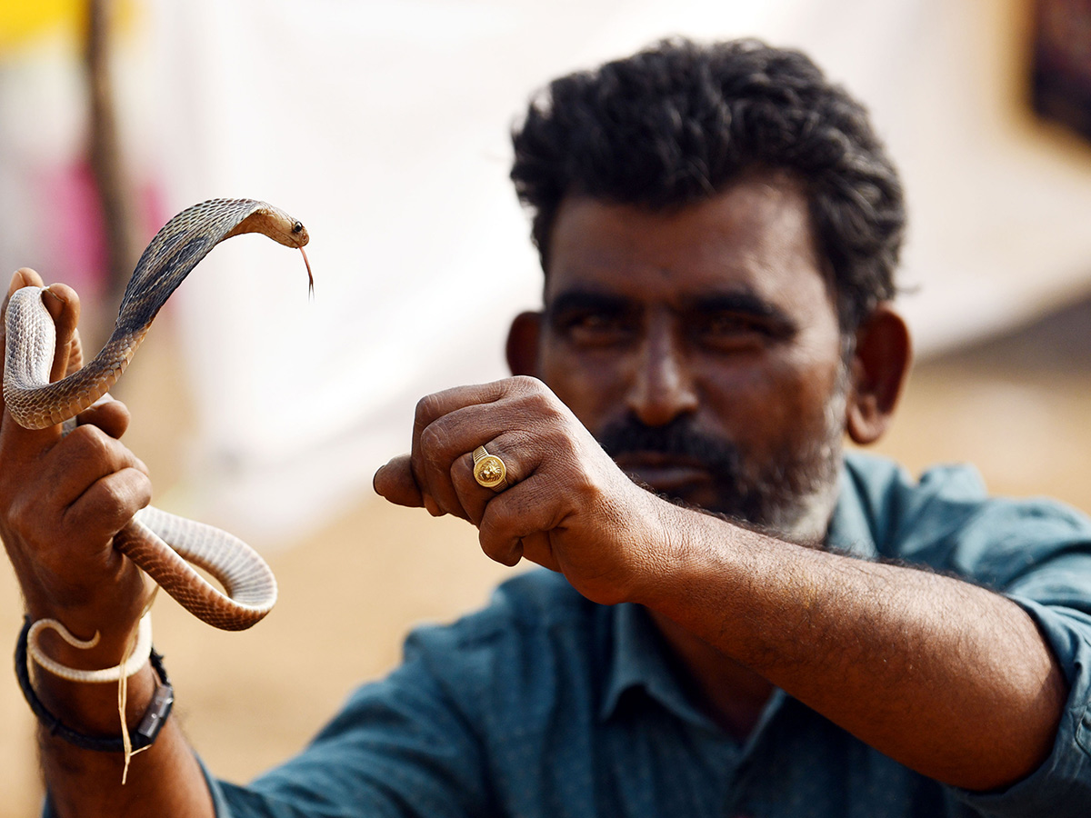 Sammakka Sarakka : Medaram Jatara 2026 HD Photos 23