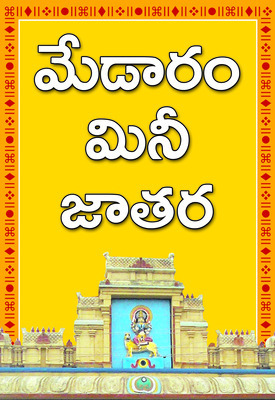 గద్దెలకు చేరిన సారలమ్మ3