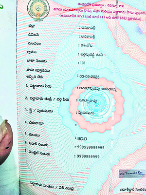 తప్పుల తడకగా పట్టాదారు పాసు పుస్తకాలు 2