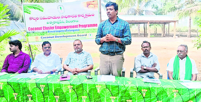 పెద్దమ్మతల్లికి  పంచామృతాభిషేకం2