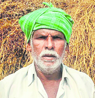 రైతు కష్టం...అడవి ఆవుల పాలు 1